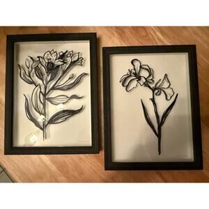 Set of 2 floral sketch framed art, elegant black frame, minimalist boho art
